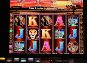 金年(金字招牌)诚信至上电脑免费版